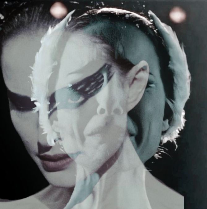 Integrating the Shadow- Featuring the Black Swan